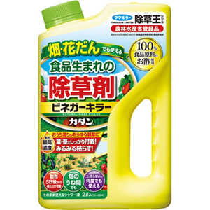 �եޥ��顼 ����� (����) ������ ���𲦥��꡼�� �ӥͥ������顼 (2L)