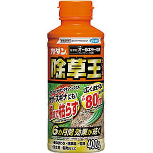 �եޥ��顼 ����� (����) ������ ���𲦥��꡼�� �����륭�顼γ�� (400g)