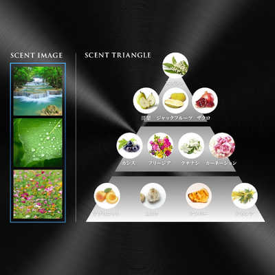 P＆G Febreze(ファブリーズ)プレミアムクリップ アクアワルツ 本体