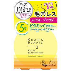 明色化粧品 ケアナボーテ 毛穴落ち防止メイクキープパウダー 6g 