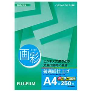 富士フイルム　FUJIFILM 画彩 普通紙仕上げ HKA4250 (普通紙仕上げ)