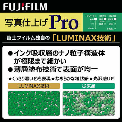 富士フイルム　FUJIFILM 画彩 写真仕上げ Pro(A3･10枚) WPA310PRO