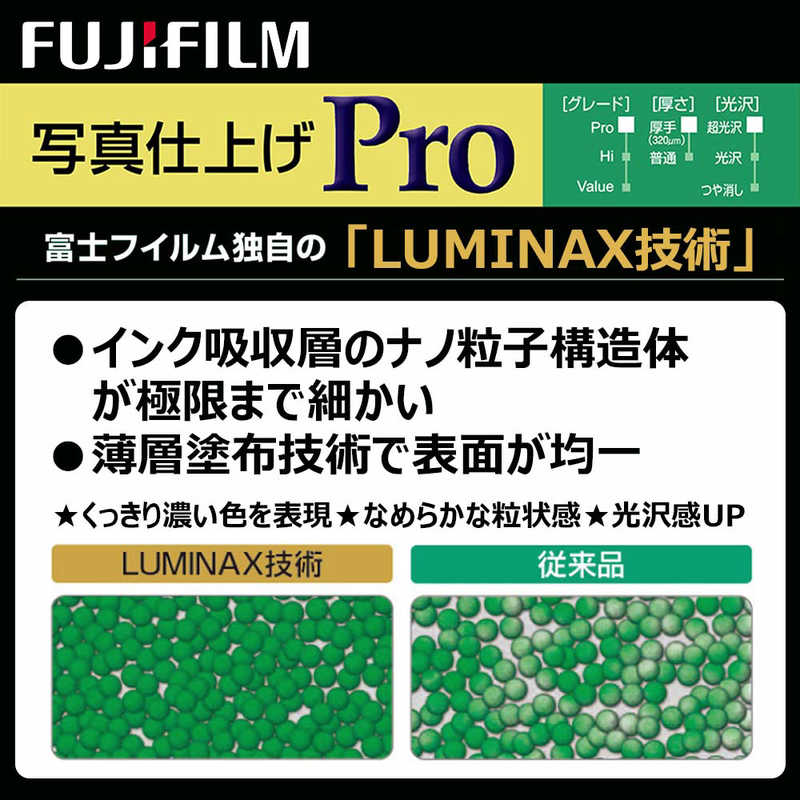 富士フイルム　FUJIFILM 富士フイルム　FUJIFILM 画彩 写真仕上げ Pro (A3ノビサイズ･10枚) WPA3N10PRO WPA3N10PRO