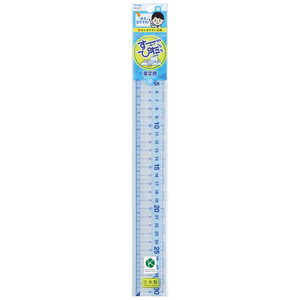 쥤ᥤ Τľ구 30CM APJ257