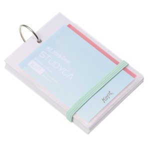 レイメイ (限定)Kept STUDYCA KP1394M