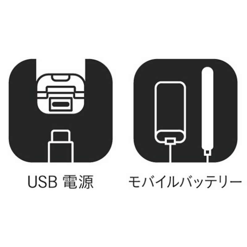 マクセル マクセル USBモバイルヘアアイロン Angelique ホワイト MXHI-100 MXHI-100
