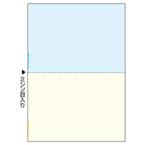 ヒサゴ 〔各種プリンタ〕FSC（R）認証 マルチプリンタ帳票 カラー 0.08mm [A4 /100枚 /2面] FSC2010