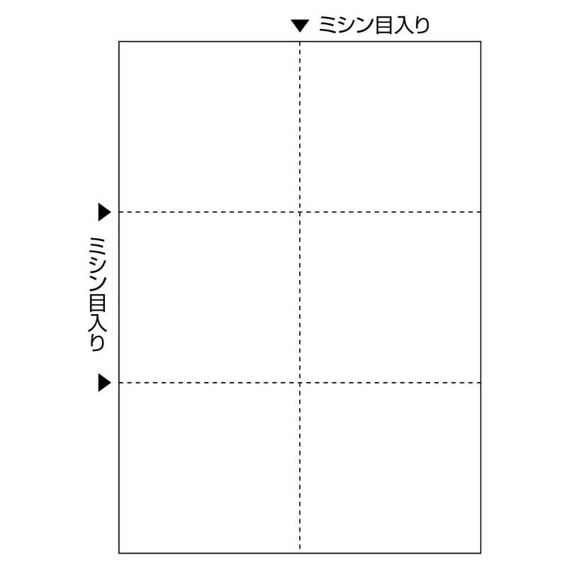 ヒサゴ ヒサゴ 〔各種プリンタ〕FSC（R）認証 マルチプリンタ帳票 白紙 0.08mm [A4 /100枚 /6面] FSC2078 FSC2078