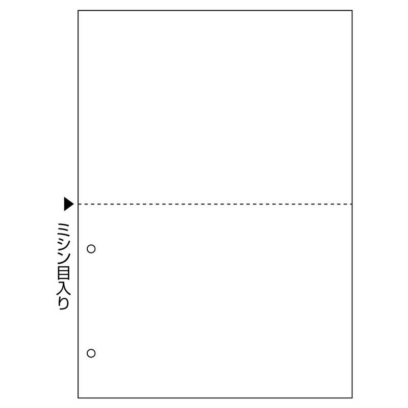 ヒサゴ ヒサゴ 〔各種プリンタ〕FSC（R）認証 マルチプリンタ帳票 白紙 2穴 0.08mm [A4 /100枚 /2面] FSC2084 FSC2084