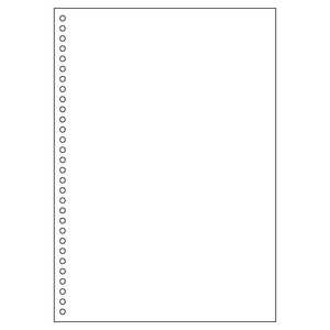 �q�T�S �k�e��v�����^�lFSC�iR�j�F�� �}���`�v�����^���[ ���� 30�� 0.08mm [A4 /100��] FSC2049