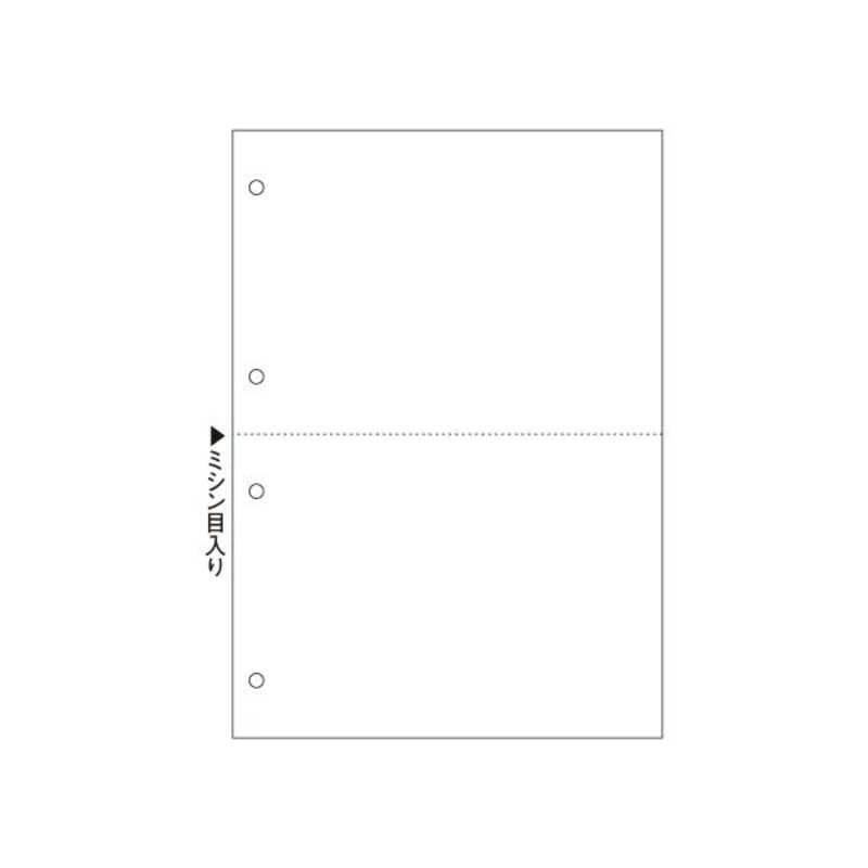 ヒサゴ ヒサゴ 〔各種プリンタ〕FSC（R）認証 マルチプリンタ帳票 白紙 4穴 0.08mm [B5 /100枚 /2面] FSC2053 FSC2053