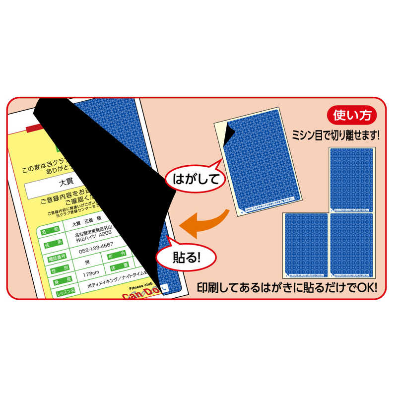 ヒサゴ ヒサゴ 目隠しラベルはがき用4面/地紋 LB2401 LB2401