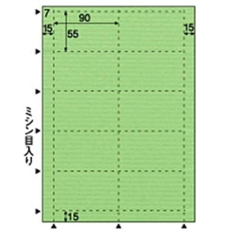 ヒサゴ ヒサゴ 〔各種プリンタ〕 クラッポドロップ 100枚(A4サイズ 10面×10シート･キウイ) QP007S QP007S