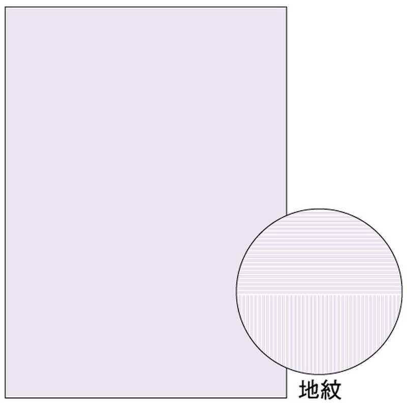 ヒサゴ ヒサゴ マルチプリンタ帳票 コピー偽造予防用紙 浮き文字タイプ A4両面 0.10mm BP2110Z(A4サイズ･1000枚) BP2110Z(A4サイズ･1000枚)