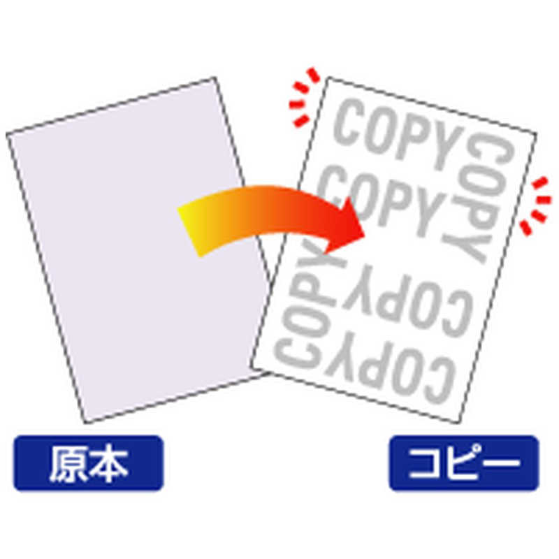 ヒサゴ ヒサゴ マルチプリンタ帳票 コピー偽造予防用紙 浮き文字タイプ A4両面 0.10mm BP2110Z(A4サイズ･1000枚) BP2110Z(A4サイズ･1000枚)