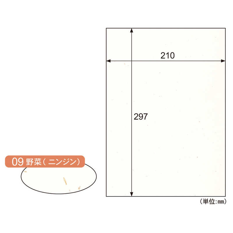 ヒサゴ ヒサゴ サステナクラッポ ヤサイ(ニンジン) A4 10枚 FSCSC09S FSCSC09S