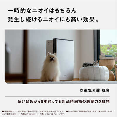 パナソニック Panasonic 空間除菌脱臭機 ジアイーノ ［適用畳数