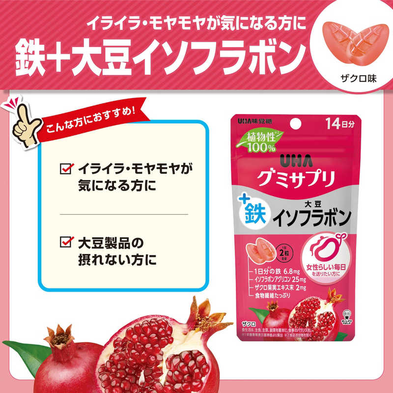 UHA味覚糖 UHA味覚糖 グミサプリ 鉄+大豆イソフラボン 14日分(28粒)  
