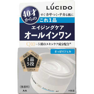 マンダム LUCIDO(ルシード)パーフェクトスキンジェル 90g マンダム LUCIDO(ルシード)パーフェクトスキンジェル 90g