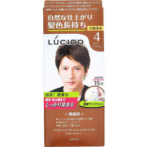 マンダム LUCIDO(ルシード) ワンプッシュケア カラー ライトブラウン(医薬部外品)(100g)〔カラーリング剤〕 