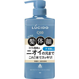 マンダム ルシード 全身デオウォッシュ 450ml マンダム ルシード 全身デオウォッシュ 450ml