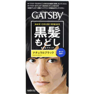 マンダム GATSBY(ギャツビー) ターンカラーナチュラルブラック 〔カラーリング剤〕 