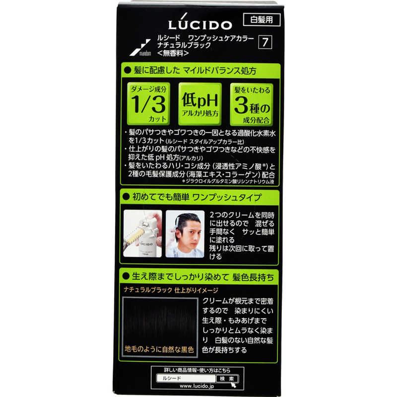 マンダム マンダム LUCIDO(ルシード) ワンプッシュケア カラーナチュラルブラック 〔カラーリング剤〕  