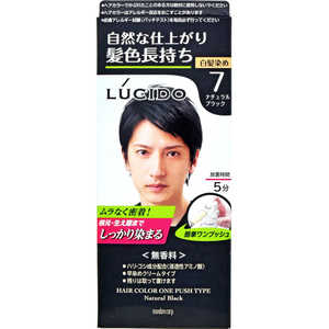 マンダム LUCIDO(ルシード) ワンプッシュケア カラーナチュラルブラック 〔カラーリング剤〕 マンダム LUCIDO(ルシード) ワンプッシュケア カラーナチュラルブラック 〔カラーリング剤〕