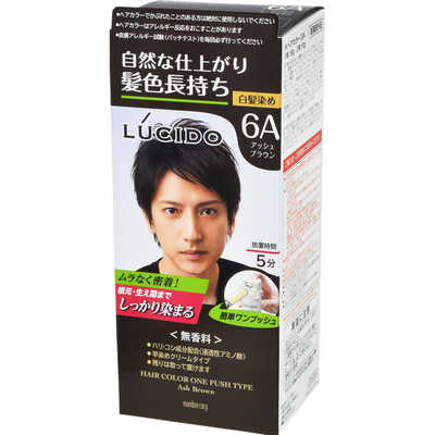 マンダム LUCIDO(ルシード) ワンプッシュケア カラーアッシュブラウン