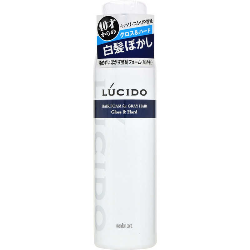 マンダム マンダム LUCIDO(ルシード) 白髪用整髪フォームグロス&ハード(185g) 〔スタイリング剤〕  