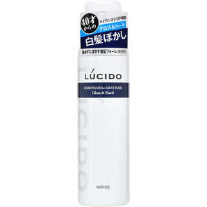 マンダム LUCIDO(ルシード) 白髪用整髪フォームグロス&ハード(185g) 〔スタイリング剤〕 