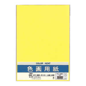 マルアイ 色画用紙N821クリーム PIN82C