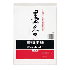 �ޥ륢�� �Ϲ�Ⱦ�� ��å� 20��ݥ��� P20��21