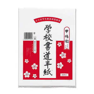 �ޥ륢�� �ع�Ⱦ�� 20��ݥ��� P20��11