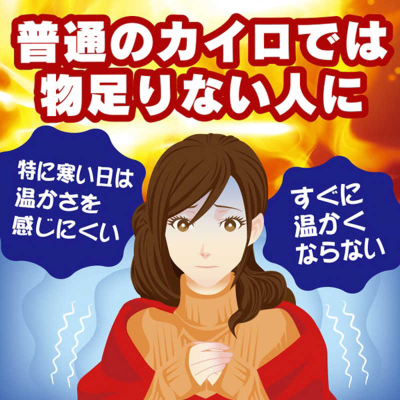 エステー エステー オンパックス 極熱 貼るカイロ 高温タイプ (10個入)  