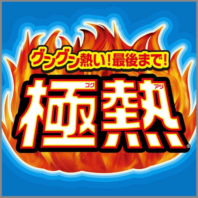 エステー エステー オンパックス 極熱 貼るカイロ 高温タイプ (10個入)  