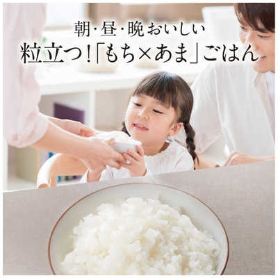 三菱 MITSUBISHI 【アウトレット】炊飯器 5.5合 炭炊釜 IH 月白