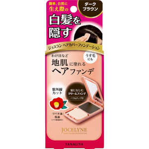 柳屋本店 ジョスラン ヘアカバーファンデーション ダークブラウン (13g) ジョスランヘアファンデDBR