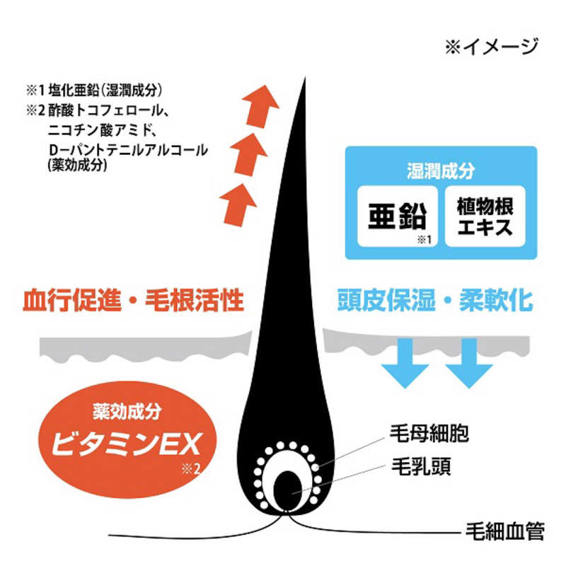 柳屋本店 薬用育毛 Re・GO（リゴウ） 190ml の通販 | カテゴリ：日用品・化粧品・医薬品 | 柳屋本店 家電通販のコジマネット -  全品代引き手数料無料