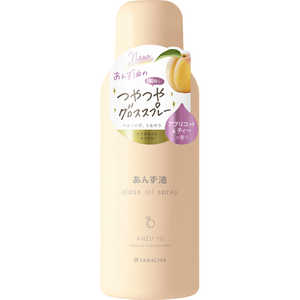 柳屋本店 柳屋 あんず油 グロスオイルスプレー 80g 