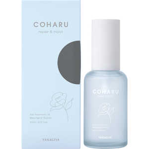 柳屋本店 COHARUトリートメントオイルリペア&モイスト60ml 柳屋本店 COHARUトリートメントオイルリペア&モイスト60ml