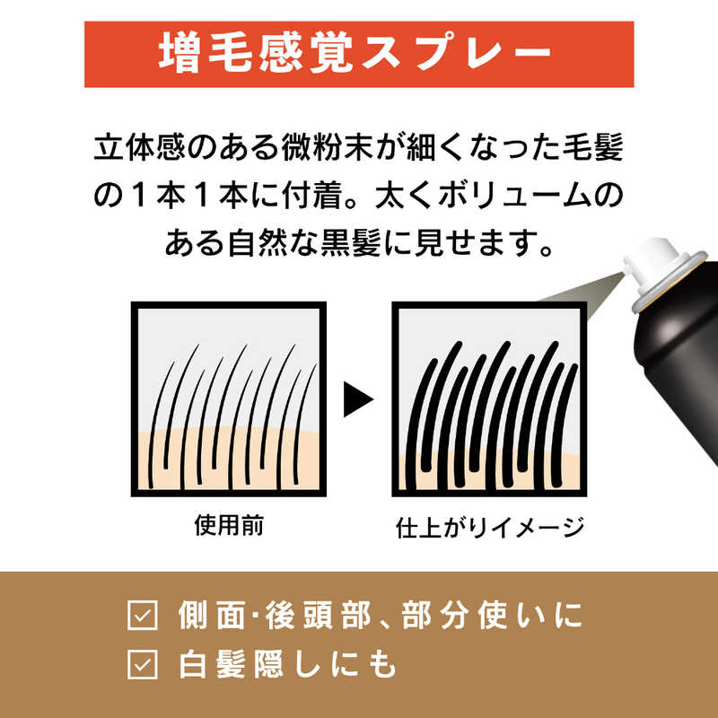 柳屋本店 柳屋本店 ｢トップシェード｣ヘアカバースプレー ラージ 自然な黒色 250g  