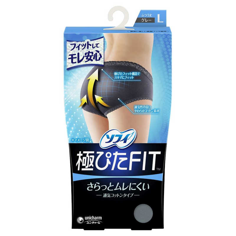 ユニチャーム Sofy ソフィ ナチュラルフィットl ブルーグレイ サニタリー用品 生理用品 ユニチャーム Sofy ソフィ ナチュラルフィットl ブルーグレイ サニタリー用品 生理用品