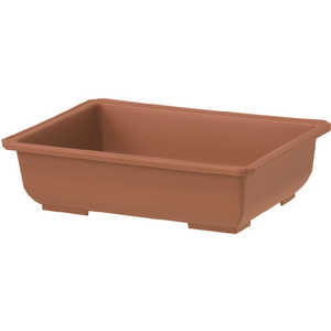 avX`bN  8 uE 2101817