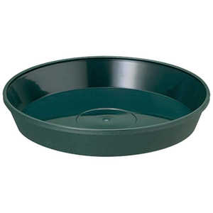 avX`bN tO[v[g 24^pDG tO[v[g