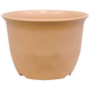 avX`bN m[~B[|bg 6BR m[~B[|bg