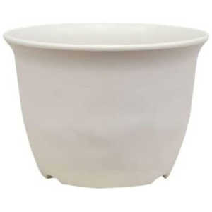 avX`bN m[~B[|bg 9IV m[~B[|bg