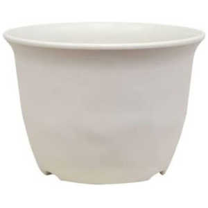 avX`bN m[~B[|bg 10IV m[~B[|bg