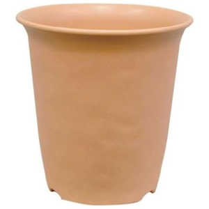 avX`bN m[~BnC|bg 7BR m[~BnC|bg