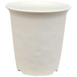 avX`bN m[~BnC|bg 10IV m[~BnC|bg